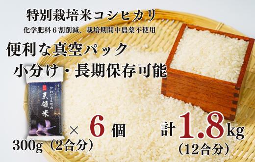 
            【かわじま町の天領米 真空 パック 6個】 特別栽培米 コシヒカリ 白米 300g（2合分） ×6個 計1.8kg（12合分） 食味値80以上 鮮度長持ち 栽培期間中農薬不使用 有機肥料 埼玉県認証 令和6年産 2024年産 小分け 米 コメ 安心 安全 贈答 プレゼント 手土産 お土産
          