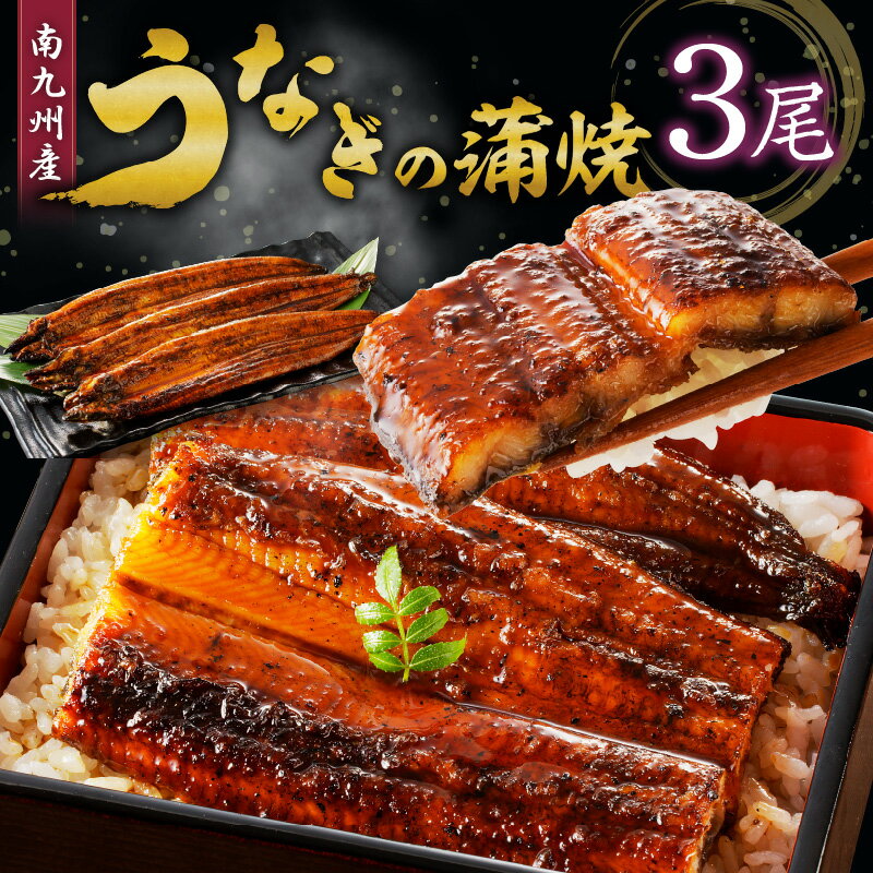 【ふるさと納税】うなぎの蒲焼き3尾セット