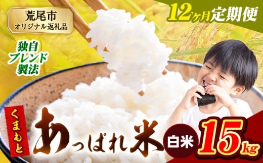 【12ヶ月定期便】熊本県産 くまもとあっぱれ米 ブレンド米 15kg 熊本県産 ふるさと納税 白米 精米 米 こめ ふるさとのうぜい コメ お米 おこめ《1月から出荷開始》