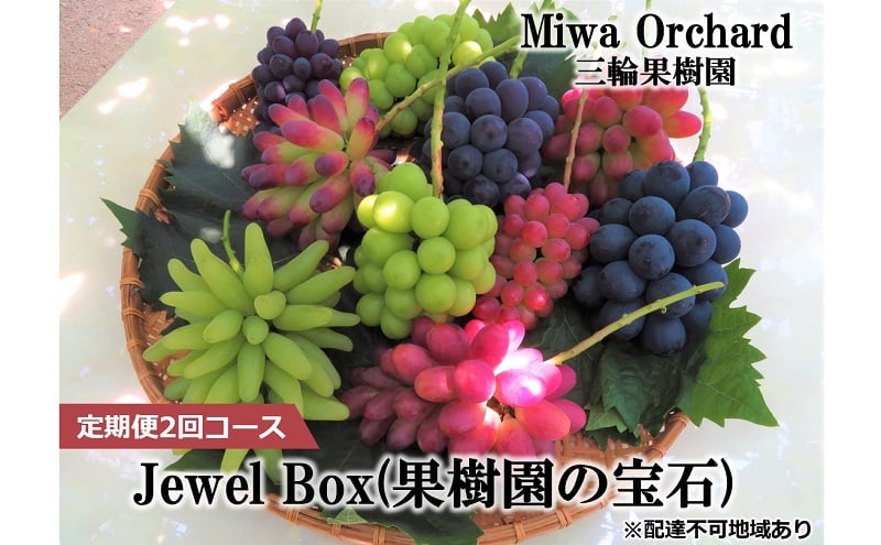 
            ぶどう 2025年 先行予約 ジュエルボックス 皮ごと食べることのできる 葡萄 4～5品種 詰合せ 約2kg 定期便 2回 コース ブドウ 葡萄 岡山県 赤磐市産 国産 フルーツ 果物 ギフト 三輪果樹園 岡山のぶどう 食べ比べ
          