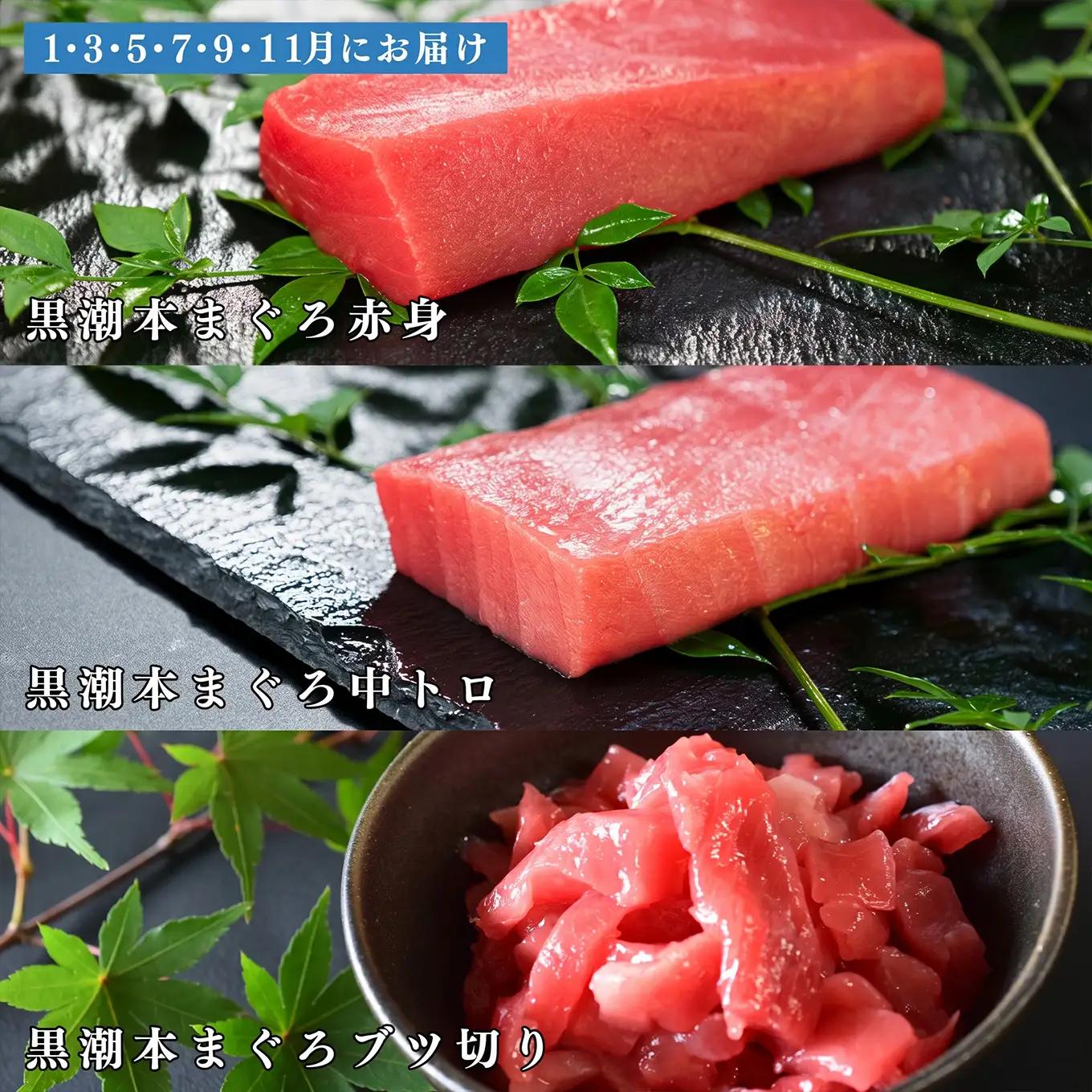 訳あり 不定貫 定期便6回 日本一!黒潮本まぐろ 中トロ・赤身・ブツ切り 3種セット (PT0080_0541)