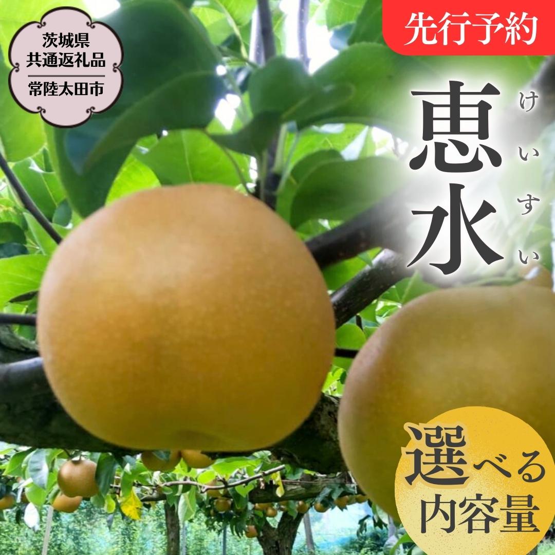 【ふるさと納税】《2025年9月上旬発送開始》 茨城県産 梨 「 恵水 」【茨城県共通返礼品／常陸太田市】 約3kg 約5kg 桧山果樹園 農家直送 桧山果樹園 農家直送 フルーツ 甘い 直送 茨城 限定 ギフト 梨 恵水 けいすい 果物