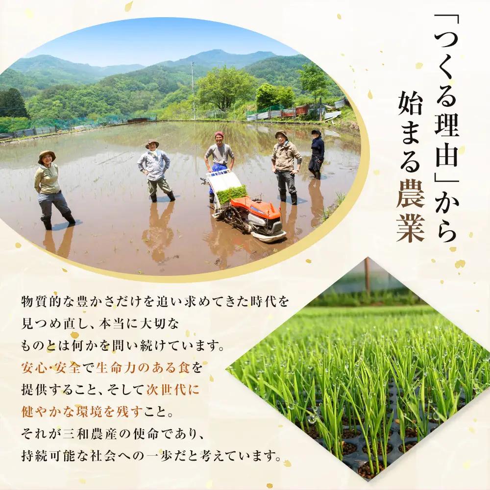かむほどに口に広がる美味しさ　玄米おかき２種セット「いづも美人」