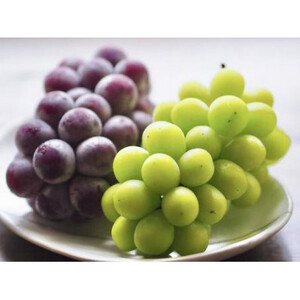 7月より順次発送予定　シャインマスカットと巨峰　桐箱入り2房(県内共通返礼品:かすみがうら市産) (BR079)