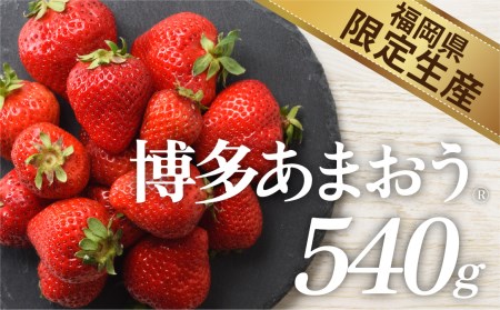 A1381.人気№１獲得謝礼品★限定品★あまおう約５４０g（先行受付．２０２５年１月以降発送）