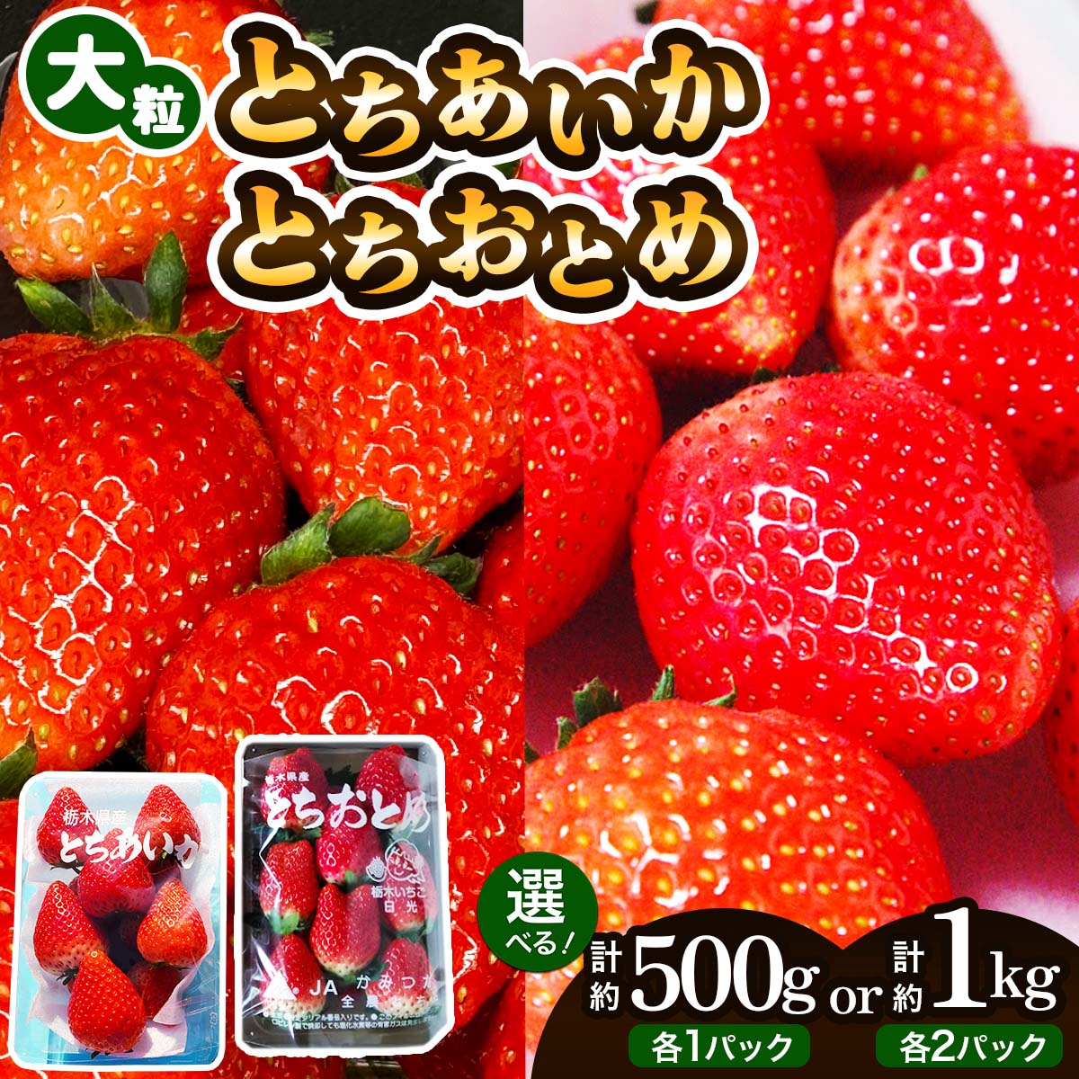 【ふるさと納税】大粒とちあいか＋大粒とちおとめ [選べるパック数：計2パック (約500g)／計4パック (約1kg)]《2026年1月上旬より順次発送》｜先行予約 とちあいか とちおとめ いちご イチゴ 苺 大粒 果物 果実 フルーツ 産地直送 日光市産 栃木県産 数量限定 [0780-0782]