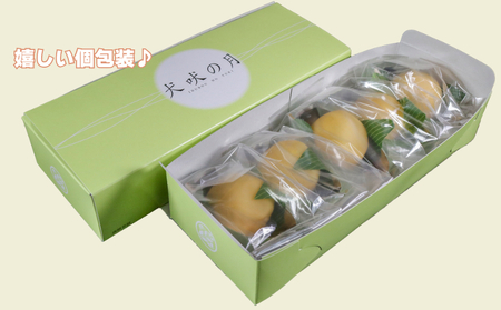 犬吠の月 10個 銘菓 銘菓 銘菓 銘菓 銘菓 たか倉