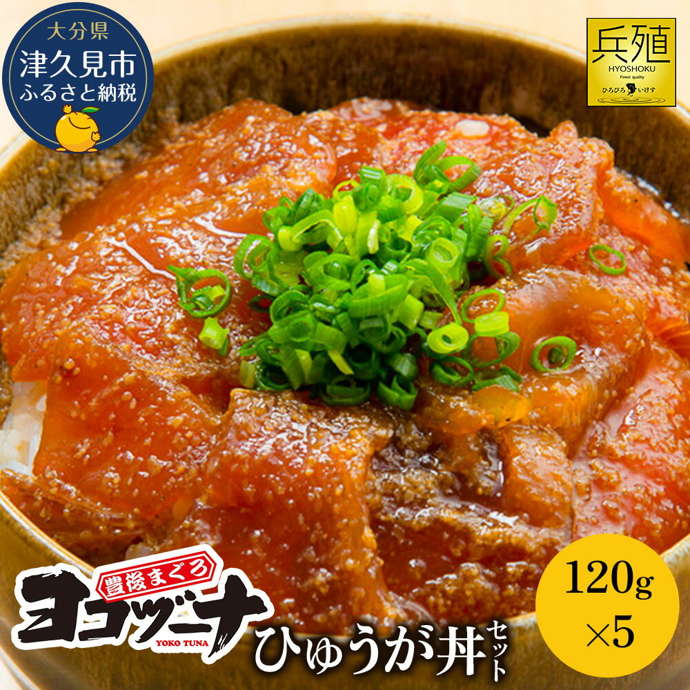 【ふるさと納税】豊後まぐろ 120g×5 ヨコヅーナ ひゅうが丼セット 本鮪 本マグロ 海鮮丼 刺し身 盛り合わせ 冷凍 新鮮 漬け丼 大分県産 九州産 津久見市 国産 送料無料