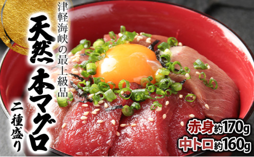 
                  天然本マグロ中トロ＆赤身二種盛り  赤身 中トロ 本マグロ クロマグロ お刺身 刺身 松前町 北海道
                