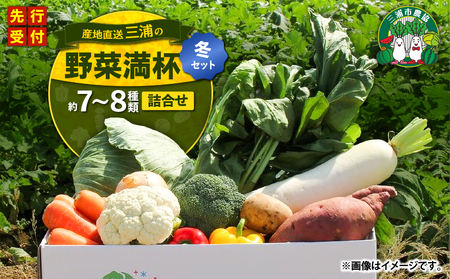 おいしさを全力に 三浦 の 野菜満杯セット（ 冬 ） M109-002-01 野菜 旬 詰め合わせ ミネラル 大根 キャベツ レディサラダ 白菜 小松菜 水菜 ほうれん草 カブ 春菊 サニーレタス リーフレタス ターサイ 冬野菜 三浦市農業協同組合 ふるさと納税 神奈川県 三浦市 おすすめ ランキング プレゼント ギフト