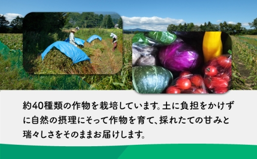 【3回定期便】 有機野菜セット| 大晶ファーム [BNAP008] 野菜セット 野菜 やさい やさいセット yasai ズッキーニ ナス ピーマン ししとう フルーツトマト イエローアイコ アイコ レッドキャベツ じゃがいも（小さめ、傷あり） にんじん 大根 赤大根 南瓜 キャベツ 小松菜 山東菜 胡瓜 スイスチャード 青果物 定期便