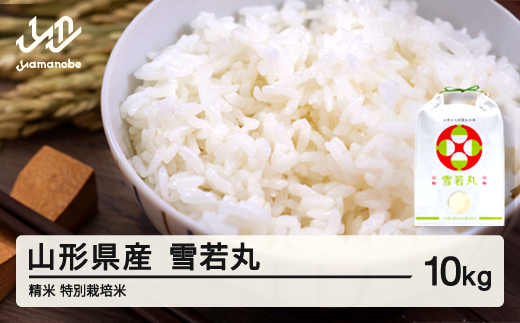 
                  米 雪若丸 精米 10kg 配送時期選べる 令和7年産 2025年産 山形県産 ※沖縄・離島への配送不可 on-ywxxb10
                