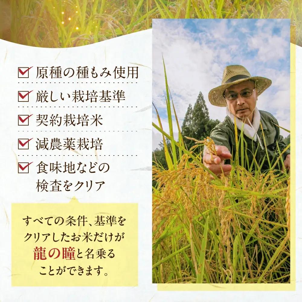 先行予約受付【2026年産米】（2027年1月発送）5kg×1袋 飛騨産・龍の瞳(いのちの壱) 株式会社龍の瞳直送【14-4【1】】