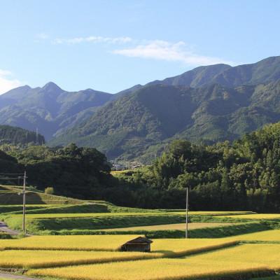 ふるさと納税 東温市 〈坂本自然農場 穂田琉〉 JINEN:ひのひかり　精米2kg |  | 03