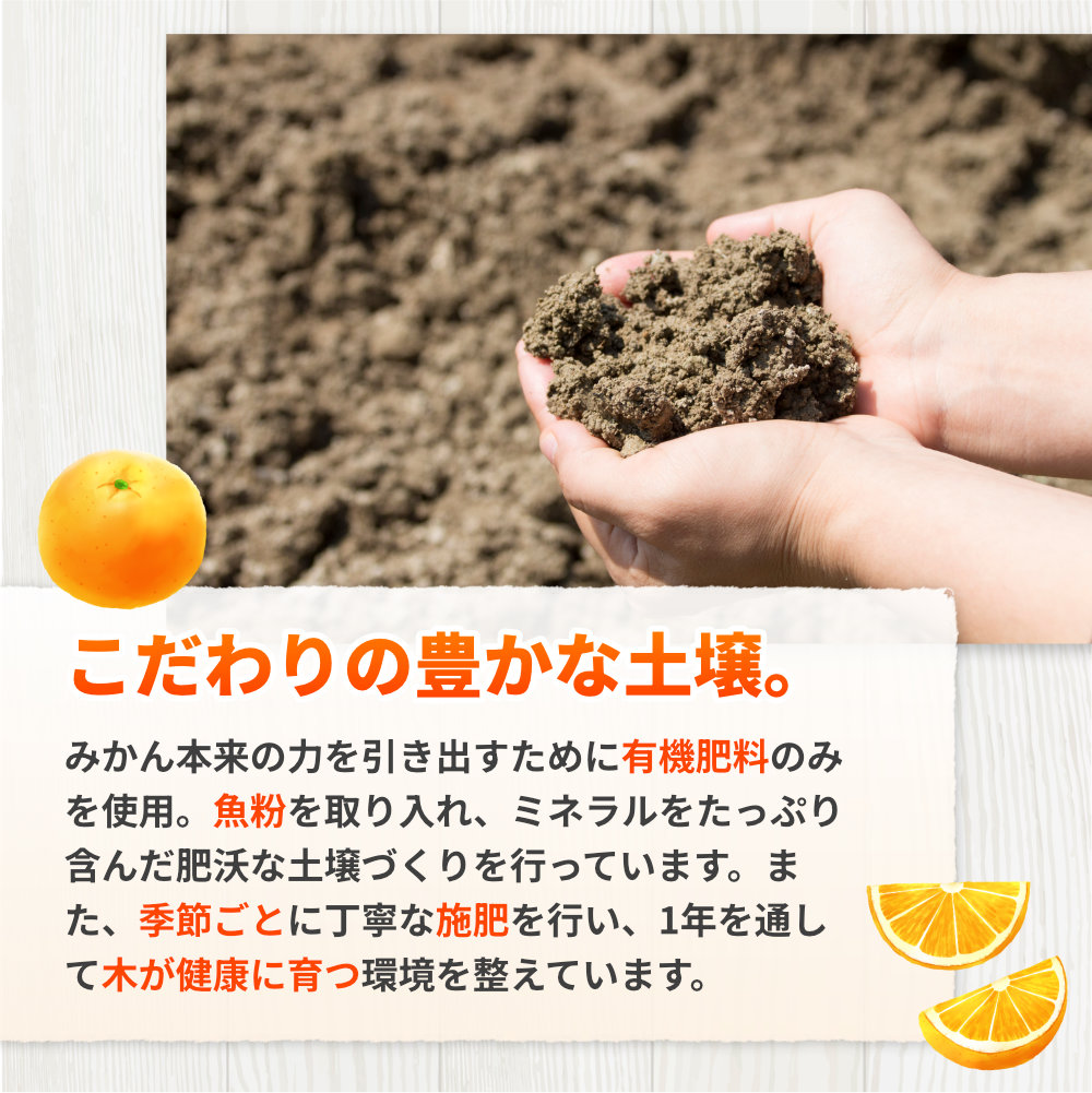 完熟 有田 みかん サイズ混合 10kg 久幸園 / 温州みかん 有田みかん 甘い 家庭用 和歌山 柑橘 ※11月より1月下旬順次発送予定 【hsk004-r-10B】