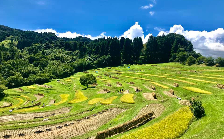 千葉県 鴨川市 ANAトラベラーズダイナミックパッケージ割引クーポン 15,000点分 15,000点