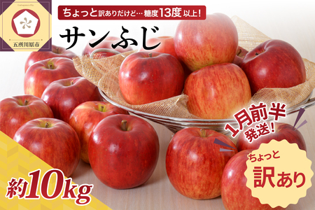 【2026年1月前半発送】【ちょっと訳あり】りんご サンふじ 約10kg 青森県産