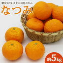 【ふるさと納税】【数量限定】糖度12度以上の初夏みかん なつみ 約5kg - 果物 くだもの フルーツ 柑橘類 ミカン 蜜柑 ナツミ 甘い おいしい 期間限定 のし対応可 贈答 ギフト お礼 御礼 送料無料 高知県 香南市【常温】ku-0028