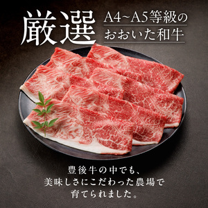 2419R_【贈答用】A4～A5等級おおいた和牛ウデ肉スライス400g（1パック）