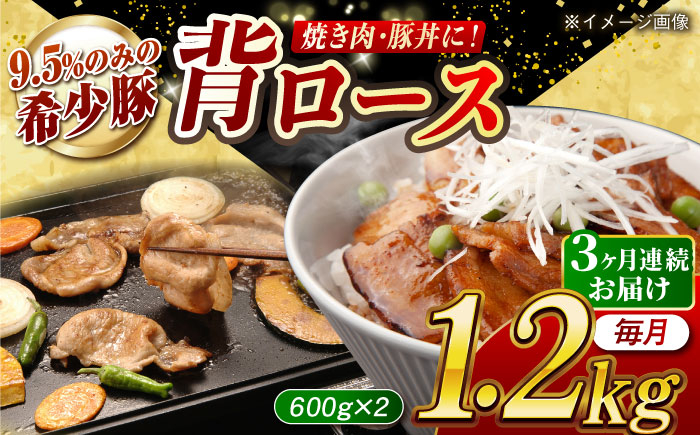 
            【月1回約1.2kg×3回定期便】大西海SPF豚 背ロース（焼肉用）計約3.6kg 長崎県/長崎県農協直販 [42ZZAA073]
          