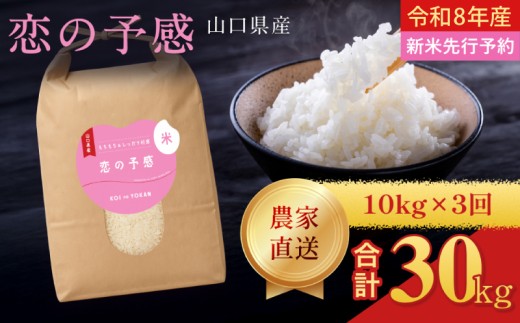 【定期便3ヶ月】 令和8年産  恋の予感 精米 10kg 計30kg