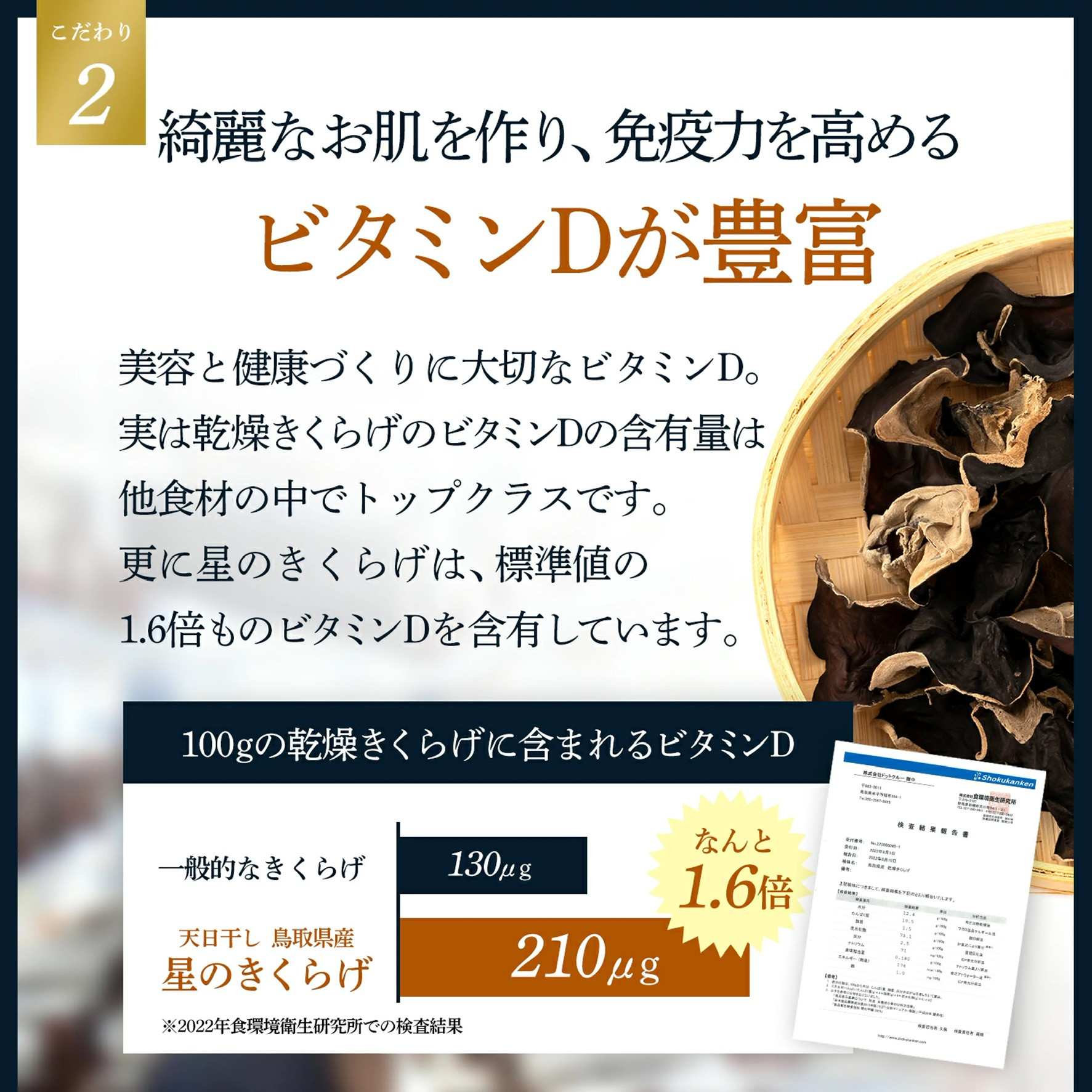 【星のきくらげ】鳥取県産乾燥きくらげ