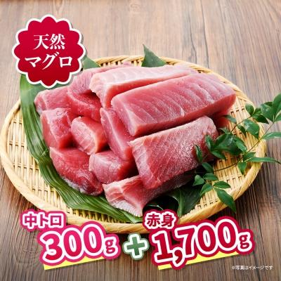 ふるさと納税 三浦市 三崎の天然マグロ三昧!中トロ・赤身が入った王道コンビ2kgセット!