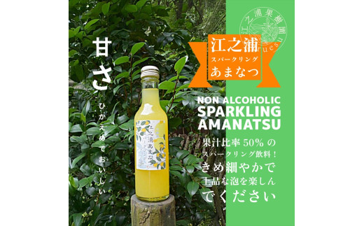 【定期便（２カ月ごと全６回）】小田原産江之浦あなまつスパークリング果汁入り飲料果汁５０％２００ml３０本