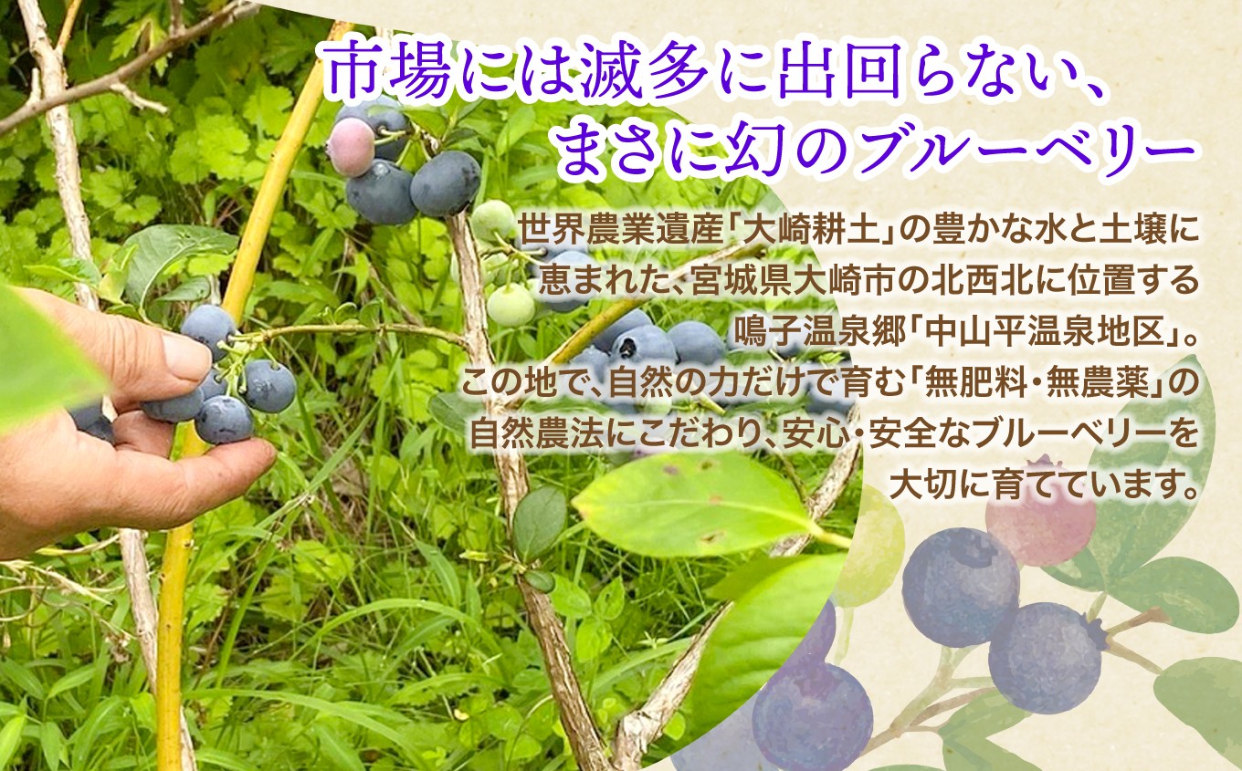 初夏の花咲く森の中。農薬や化学肥料を使わないここの場所は、森の生き物たちにとっても楽園です。夕暮れ時にはフクロウが鳴きます。