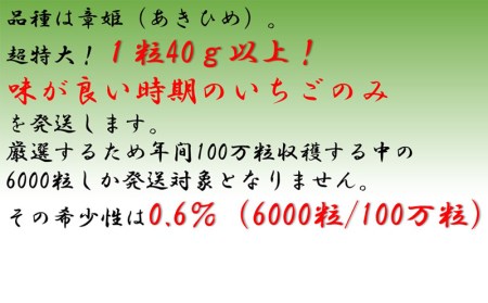 60年続くいちご農園(Odake ichigo(オオダケイチゴ))　特大いちご(章姫)　360g以上(7～9粒、1粒40g以上)・O038-10