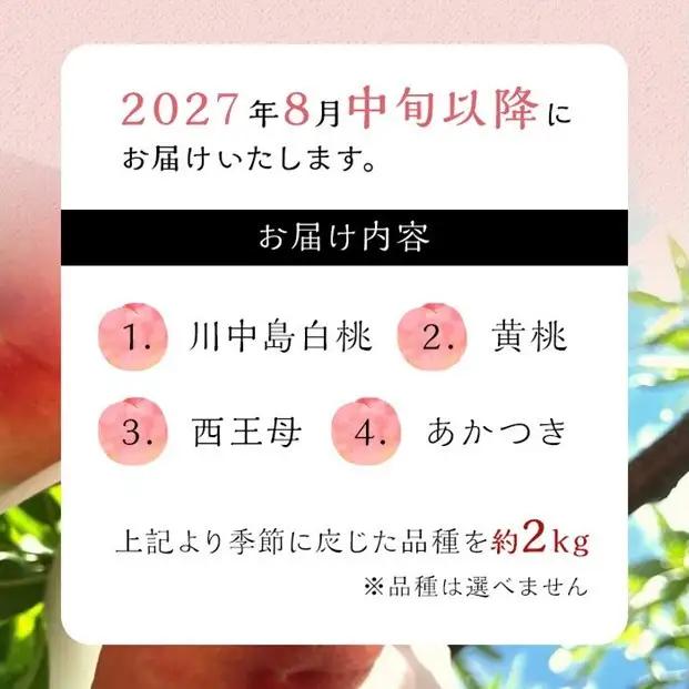 【2027年8月中旬以降より発送】旬の桃おまかせ約2kg・6～9玉（自家製有機肥料・減農薬・化学肥料無使用） 川中島白桃 黄桃 西王母 あかつき