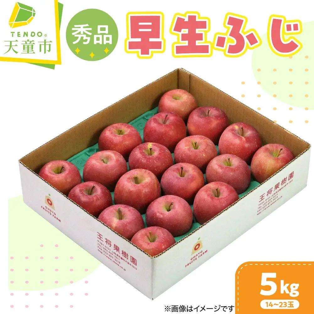 りんご 早生ふじ 5kg 果物 山形 りんご