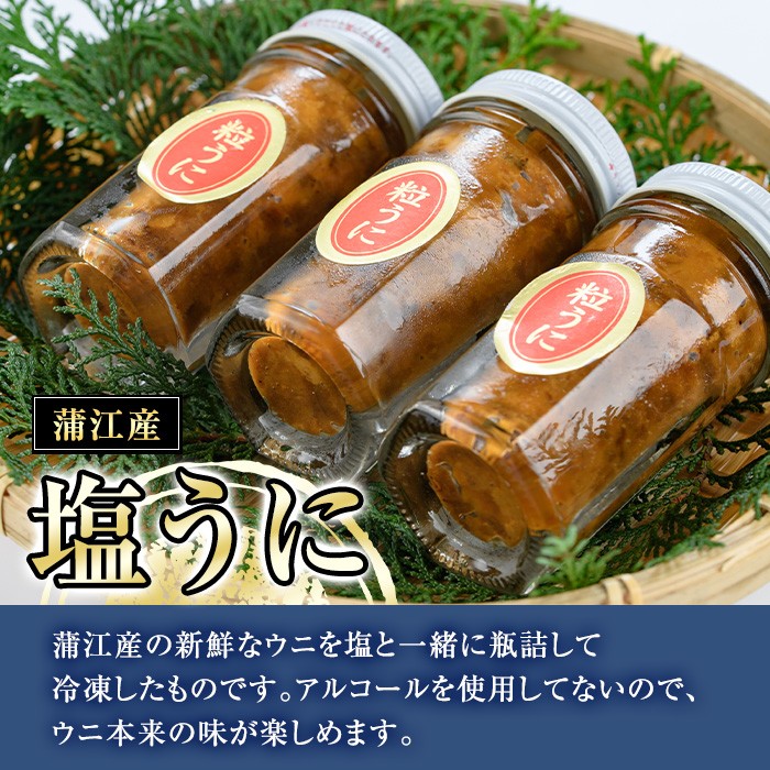 こだわりの塩うにセット(60g×1本)うに ウニ 雲丹 塩うに 冷凍 海の直売所 大分県 佐伯市【AS163】【海べ】