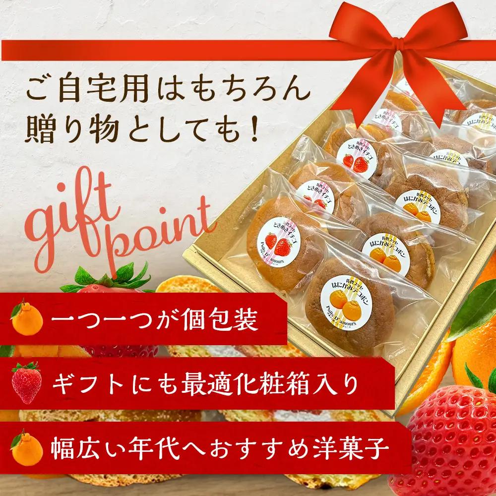 佐賀ブッセ 10個入り（イチゴ・デコポン 各5個）焼き菓子 佐賀県 鹿島市 A-236