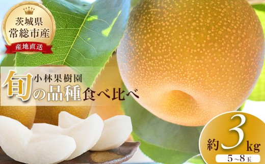 【先行予約】小林果樹園の梨 食べ比べ 5～8玉  約3kg｜朝どり みずみずしい 梨 なし ナシ フルーツ 果物 豊水 あきづき 新高 にっこり 愛宕 新雪 王秋 新興 常総市　※2026年9月～発送