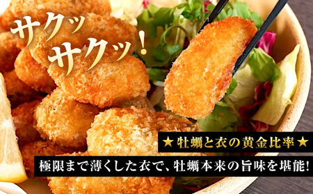 牡蠣 冷凍 カキフライ かき カキ 広島牡蠣の老舗！安心・安全の新鮮牡蠣【瞬間冷凍】牡蠣 かきフライMサイズ 40個入り 魚介類 和食 海鮮 海産物 広島県産 江田島市/株式会社かなわ[XBP020]