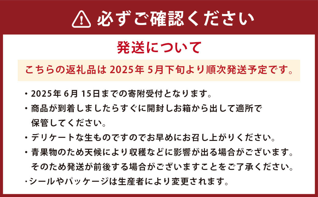 熊本県産 肥後グリーンメロン 2玉入り