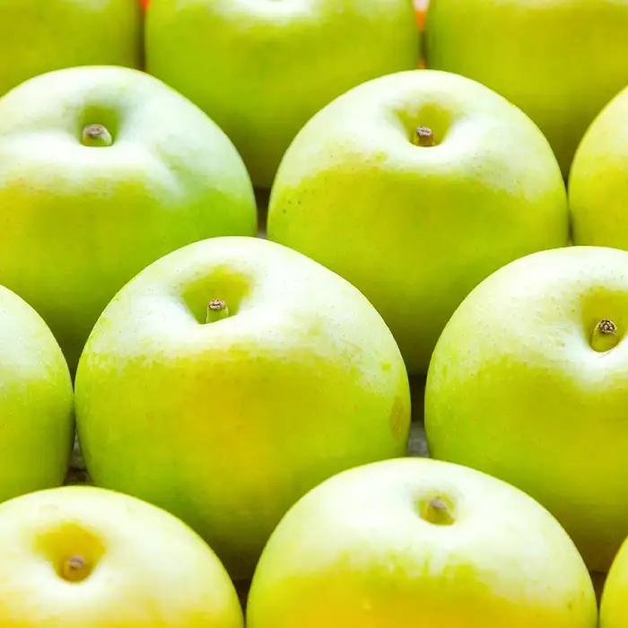 なつひめ　3kg【梨 3kg なし ナシ なつひめ 先行予約 季節限定 果物 くだもの フルーツ 旬 甘い 贈り物 ギフト お取り寄せ 産地直送 鳥取県】
