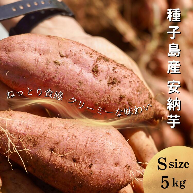 【ふるさと納税】\新物 ・先行予約 / 種子島 めっかり申さん 安納いも ( 生いも ) S サイズ 5kg ふるさと納税 さつまいも 生芋 ふるさと納税 焼き芋 ホクホク ねっとり 蜜が出るほど 甘い 安納芋 芋 ふるさと 人気 ランキング