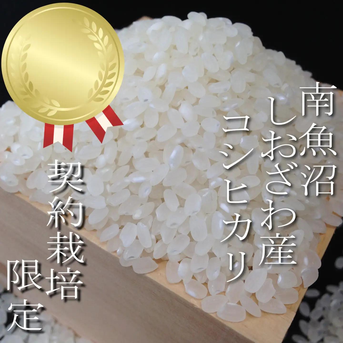 【令和7年】【定期便：10Kg×9ヶ月】生産者限定 契約栽培 南魚沼しおざわ産コシヒカリ｜こしひかり