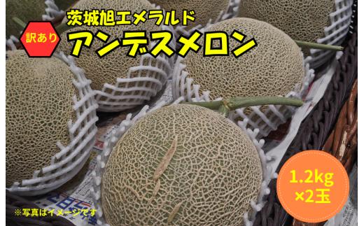【訳あり】アンデスメロン 2玉（1.2kg×2）茨城旭エメラルド