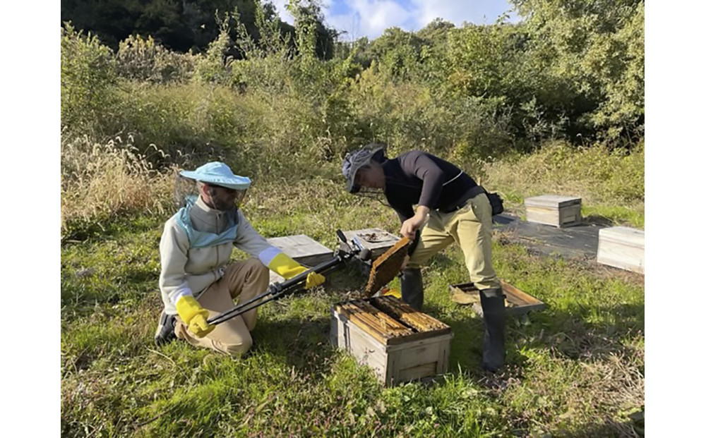 はちみつ 夏の百花蜜 180g×2本 蜂蜜 『高尾農園のはちみつ畑』 国産 夏採れ