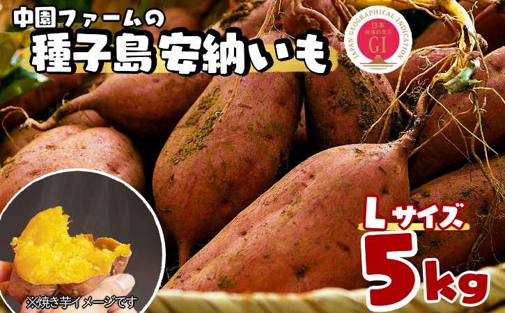 中園ファーム の 種子島 安納 いも （生いも） Ｌサイズ 5ｋｇ　NFN365 【300pt】 // 安納芋 安納いも発祥の地 本場・安納地域産 糖度 熟成期間 G.I 保護制度 ブランド 金賞 生いも 芋 いも さつまいも