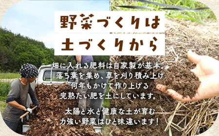 【4回定期便】＜アスカ有機農園＞旬の京野菜セットＳ 野菜