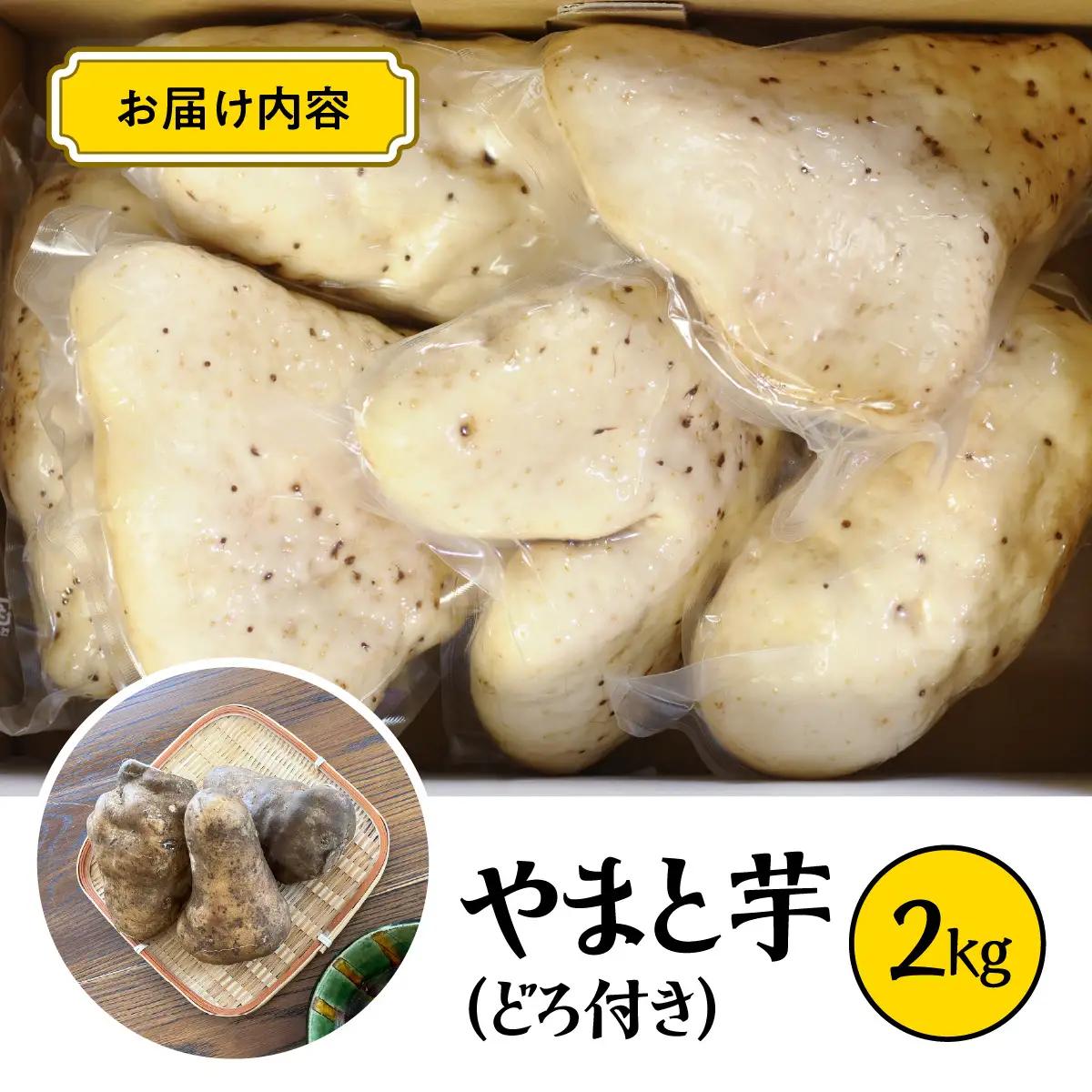 やまと芋の町!多古から「秋山農園のやまと芋」2kg(どろ付き)_野菜 自然薯 根菜 じねんじょ ジネンジョ 【配送不可地域：離島・沖縄県】TAKF050