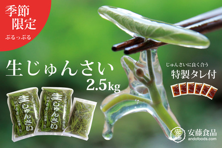 生じゅんさい2.5kg ゆずタレ6個 《冷蔵》（2026年5月上旬頃～7月下旬までに発送予定） 令和8年産 2026年産 先行受付  秋田県産 三種町産