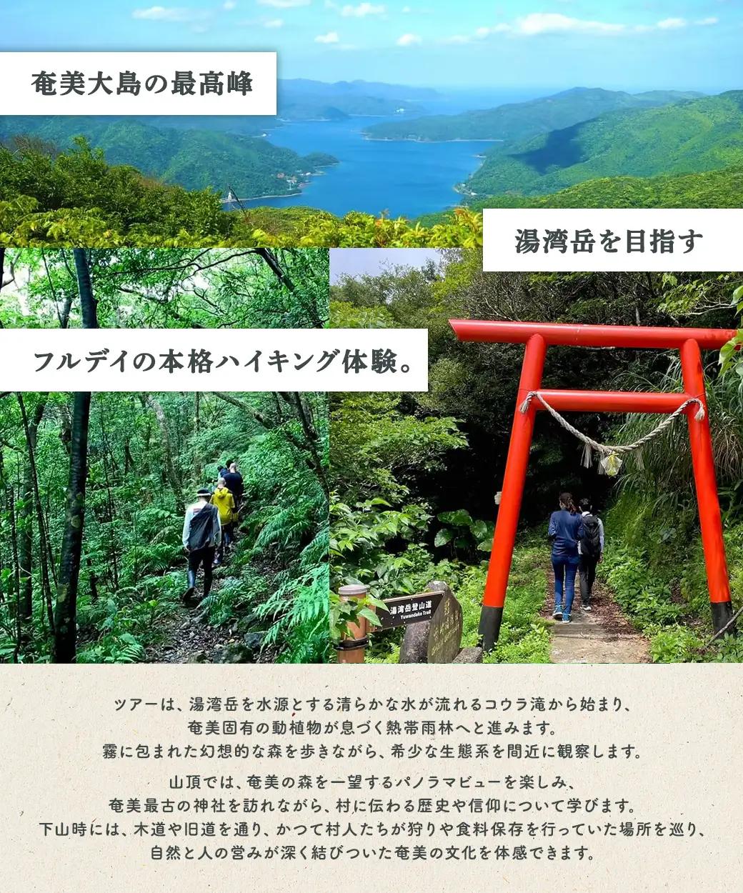 奄美最高峰「湯湾岳」ハイキング 体験 1名様 奄美大島 宇検村 鹿児島県 旅行 自然 冒険 完全プライベート