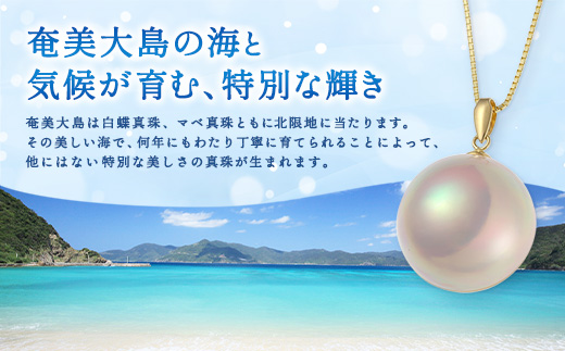 奄美 パール 白蝶真珠（7mm K18 イエローゴールドピアス 2470）天然 真珠 ジュエリー アクセサリー