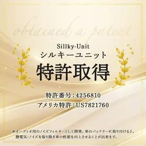 シルキーユニット　スタンダード / ノイズフィルター 車 自動車 / 諫早市 / オーディオ・ラボ有限会社 [AHDF002] 