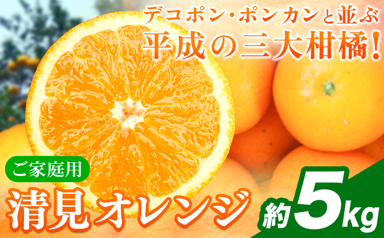 【ご家庭用訳アリ】 紀州有田産清見オレンジ 約5kg 株式会社魚鶴商店《2026年3月下旬-4月中旬頃出荷》 和歌山県 日高川町 オレンジ 柑橘 ご家庭用 フルーツ